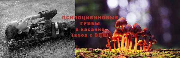 СК Аркадак